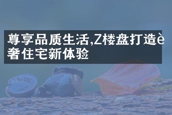 尊享品质生活,Z楼盘打造轻奢住宅新体验