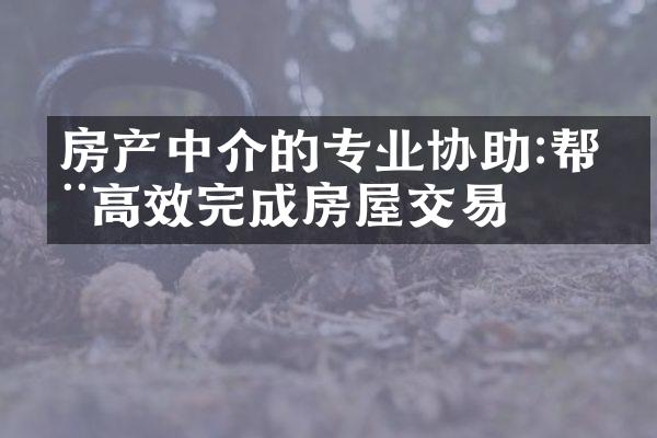 房产中介的专业协助:帮您高效完成房屋交易