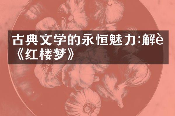 古典文学的永恒魅力:解读《红楼梦》