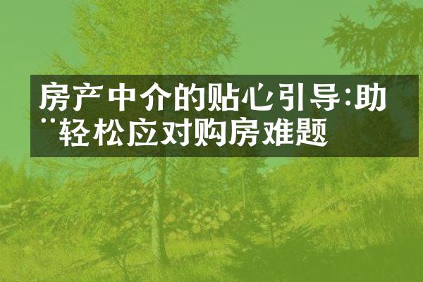 房产中介的贴心引导:助您轻松应对购房难题