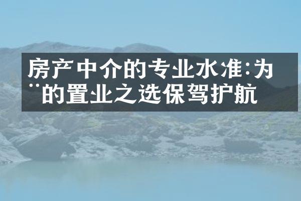 房产中介的专业水准:为您的置业之选保驾护航