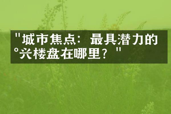 "城市焦点：最具潜力的新兴楼盘在哪里？"