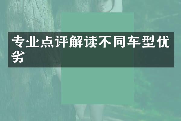 专业点评解读不同车型优劣