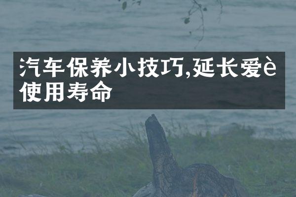 汽车保养小技巧,延长爱车使用寿命