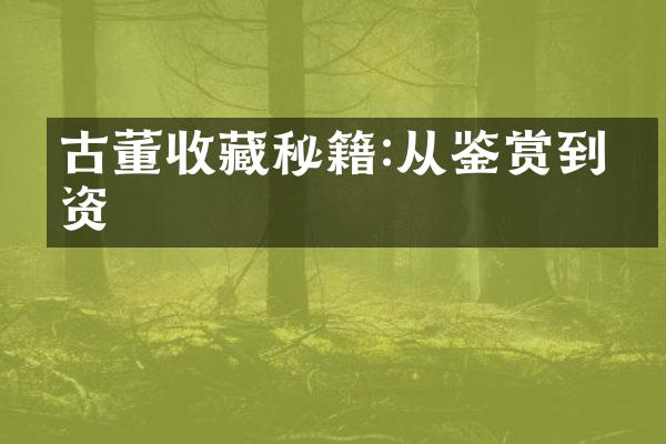 古董收藏秘籍:从鉴赏到投资