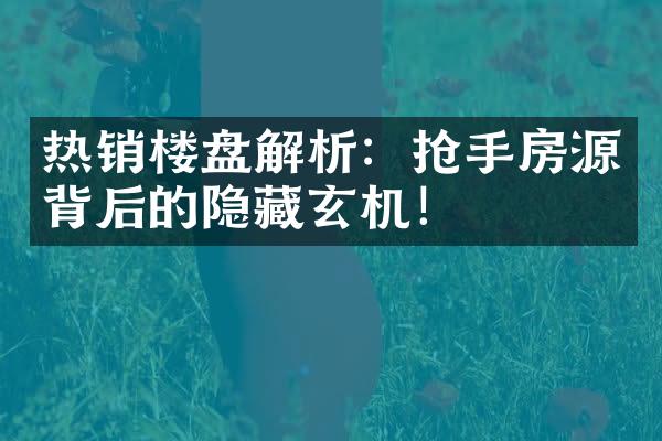 热销楼盘解析：抢手房源背后的隐藏玄机！