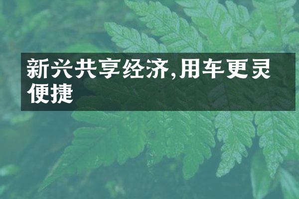 新兴共享经济,用车更灵活便捷