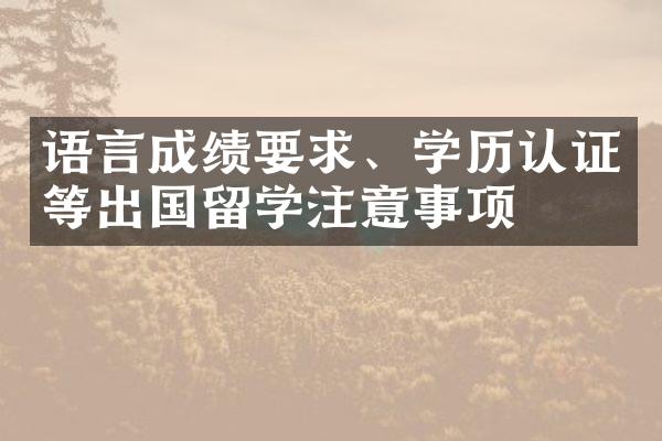 语言成绩要求、学历认证等出国留学注意事项