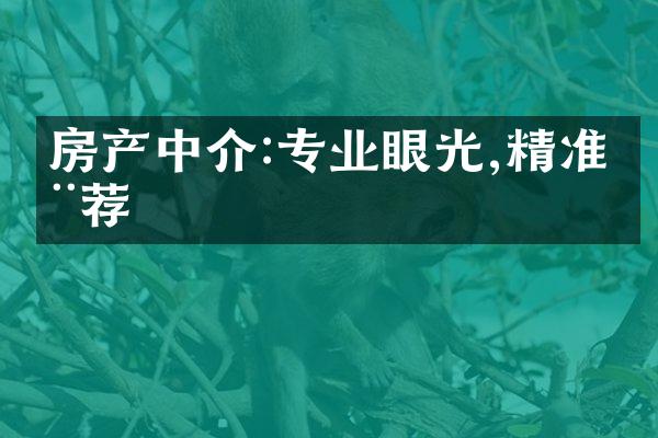 房产中介:专业眼光,精准推荐