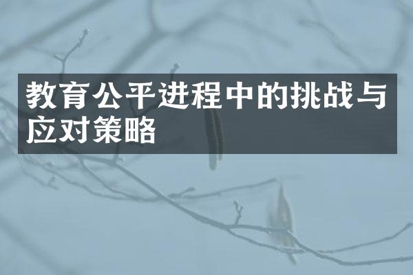 教育公平进程中的挑战与应对策略