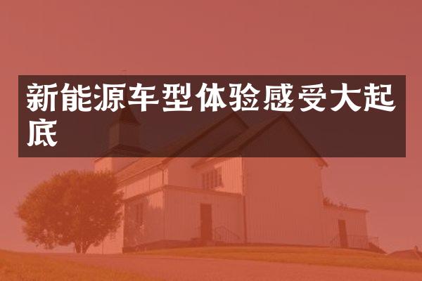 新能源车型体验感受大起底