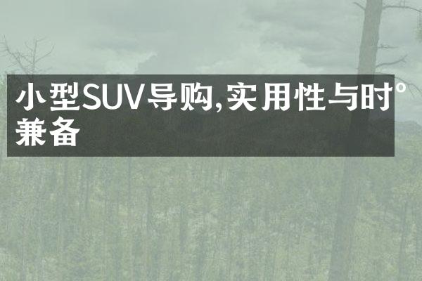 小型SUV导购,实用性与时尚兼备