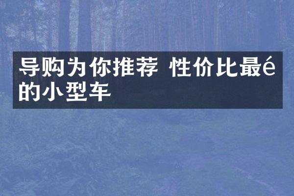 导购为你推荐 性价比最高的小型车